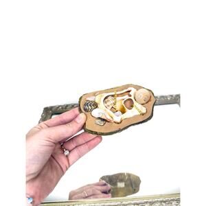 Unique Vintage Korean Brass Shell belt buckle , one of a kind